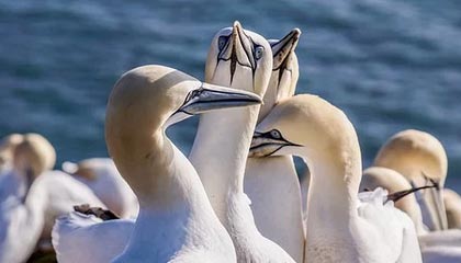 华体会hth网站-中国队成功晋级亚洲杯 再掀足球热潮，亚洲杯足球2021中国队