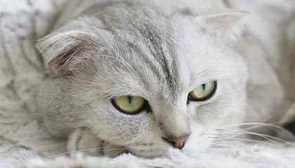 华体会hth娱乐平台-国足在世界杯预选赛中夺冠 激情之战值得铭记，国足世界杯预选赛出线