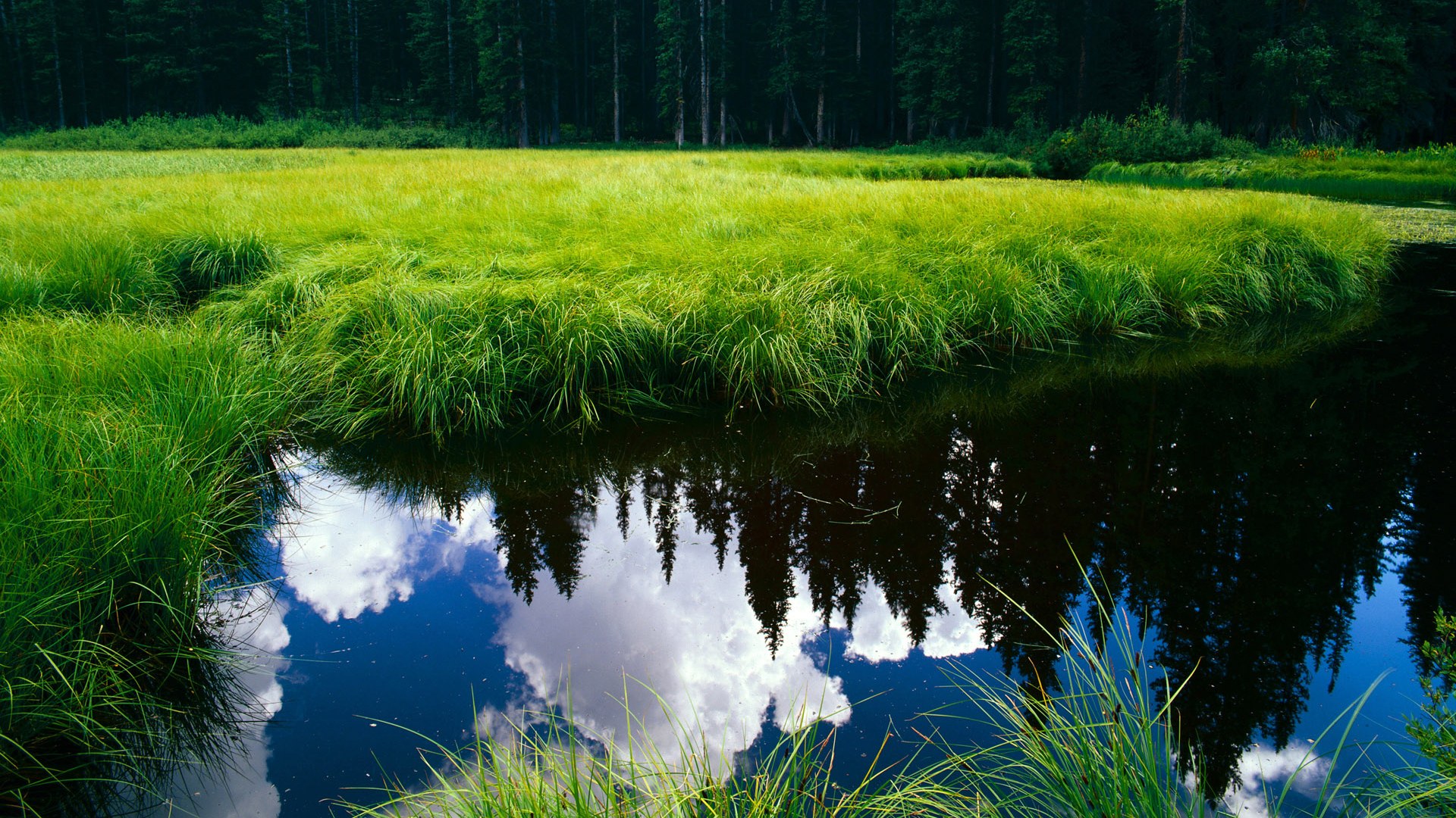 _新星崛起:青少年组赛事吸引众多目光_,舞蹈新星崛起