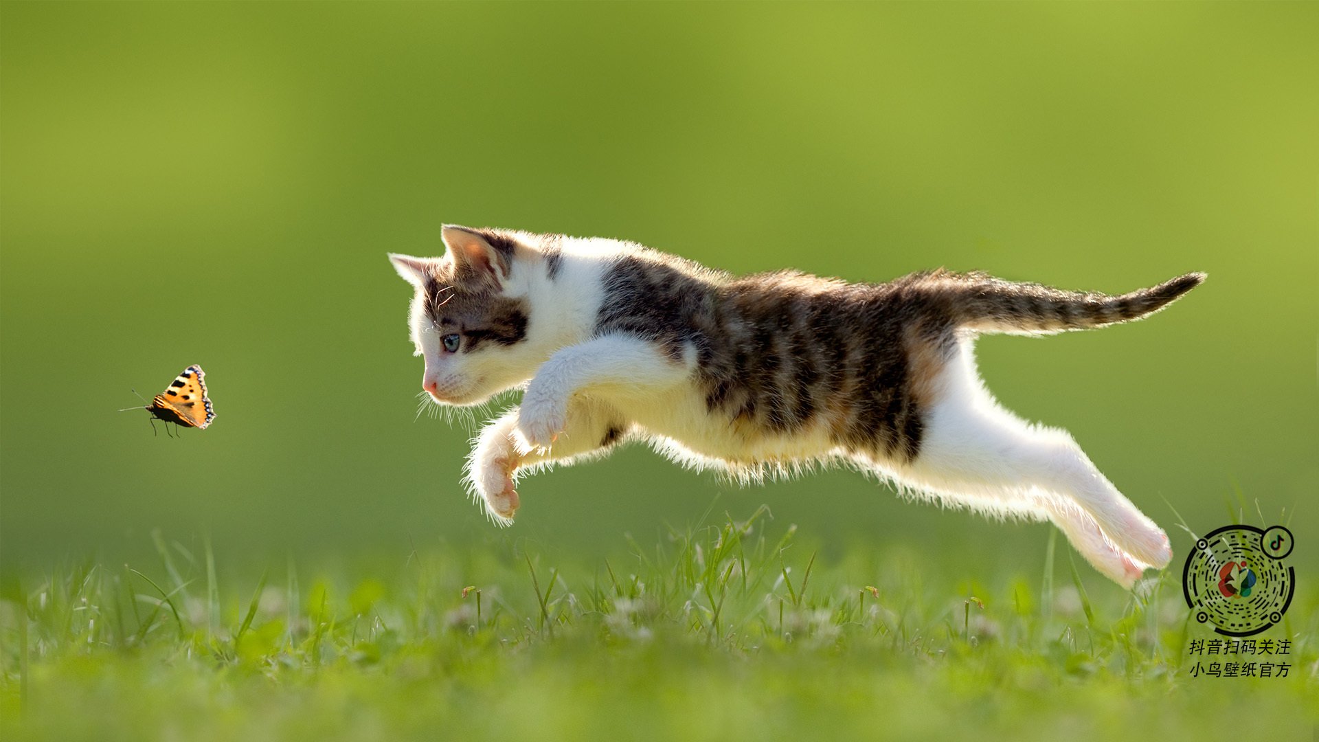 华体会hth官网入口-_未来VR篮球：虚拟世界中的巅峰对决_，vr的未来方向