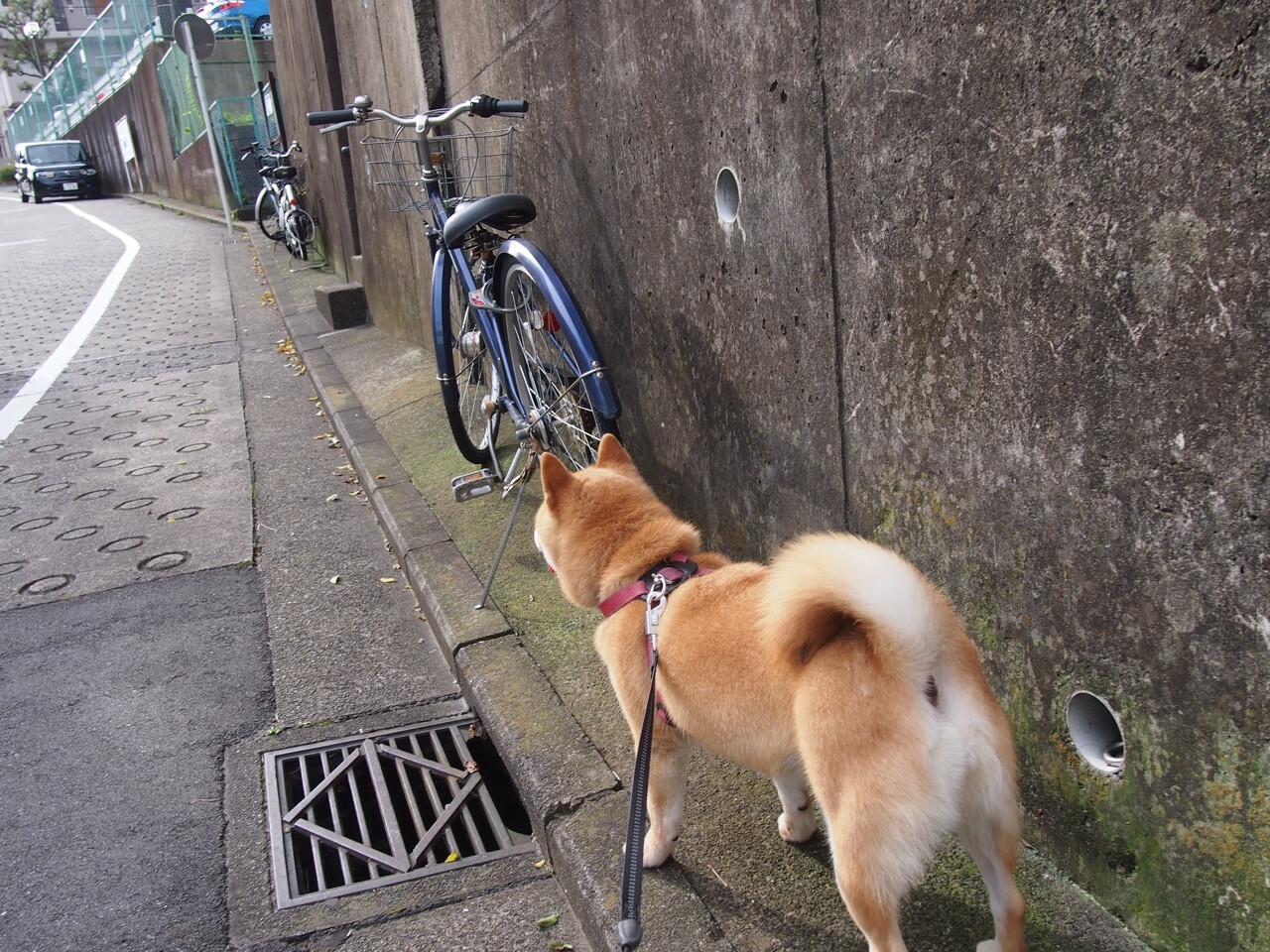 华体会hth在线登录-【规则科普】台球比赛中常见的“潜规则”你了解吗？，台球规则带图解
