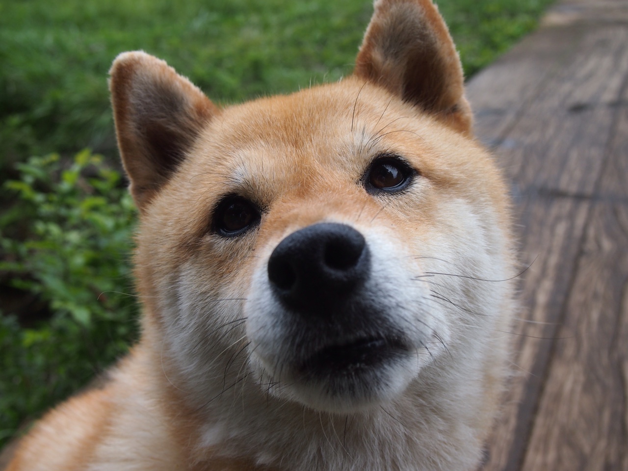 华体会hth官网入口-新一代轮胎：提升速度与安全性，新型轮胎