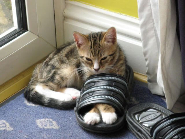 华体会hth官方网站下载-未来赛道：科技与设计的完美融合，未来科技设计作品