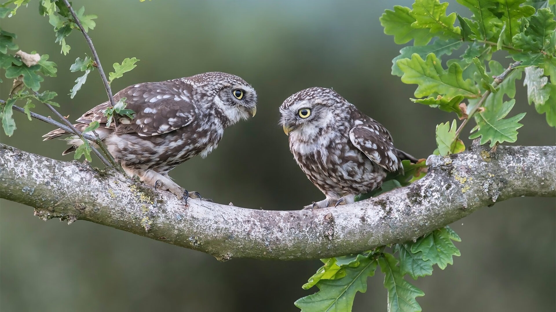 华体会hthhth app-足球教育书籍销量连年增长反映市场关注，足球类书籍哪个app好