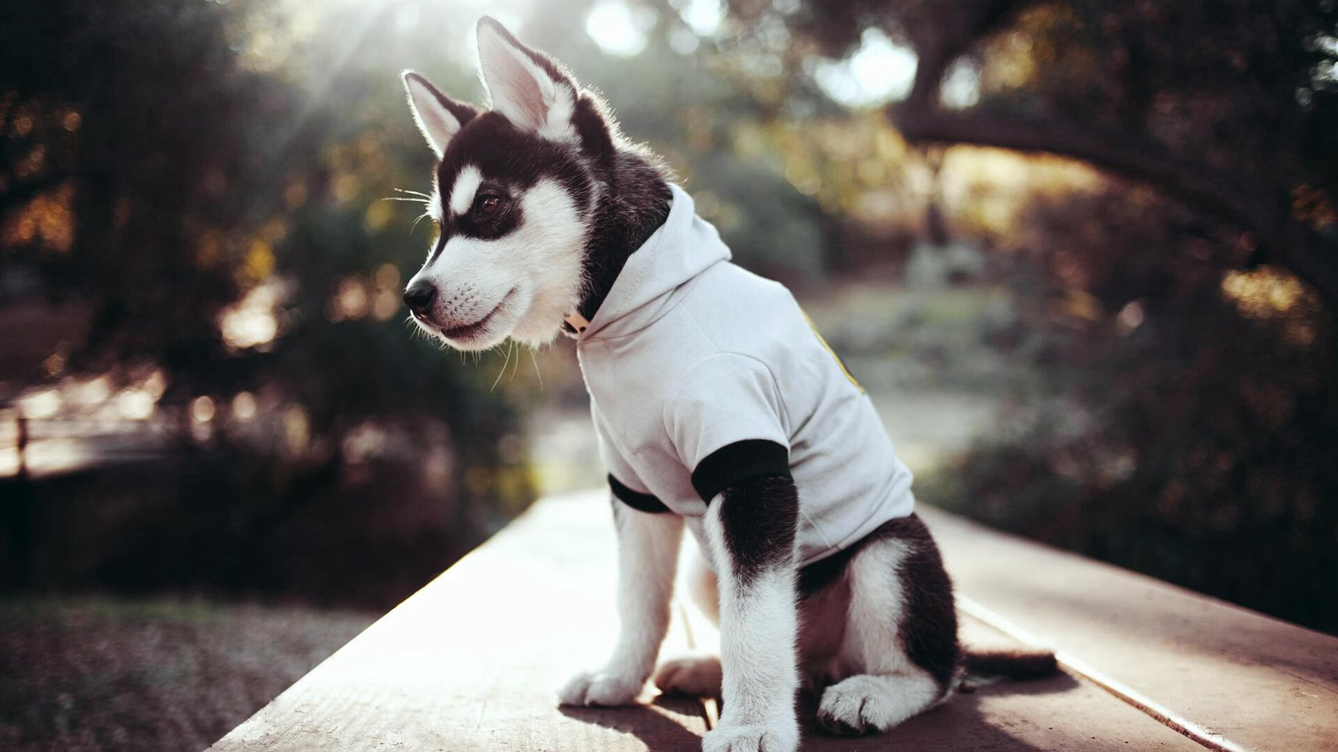 首届冬奥足球圆满落幕，墨西哥获公平竞赛奖，墨西哥国家奥林匹克足球队