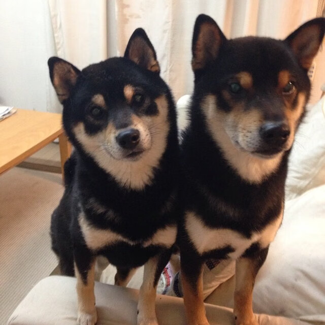 青训成果逐步纳入国家体育发展战略，推动我国足球迈向新台阶，青训体系是什么意思