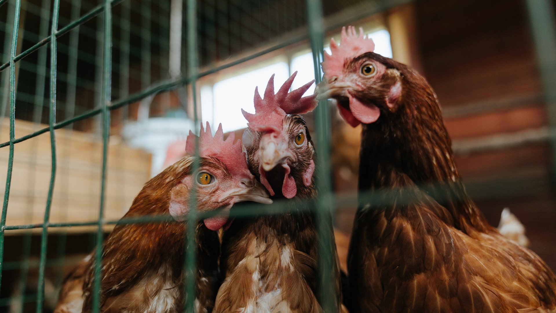 华体会登陆-中国网球男双组合首进大满贯八强，写下历史新篇章，中国网球男单选手排名