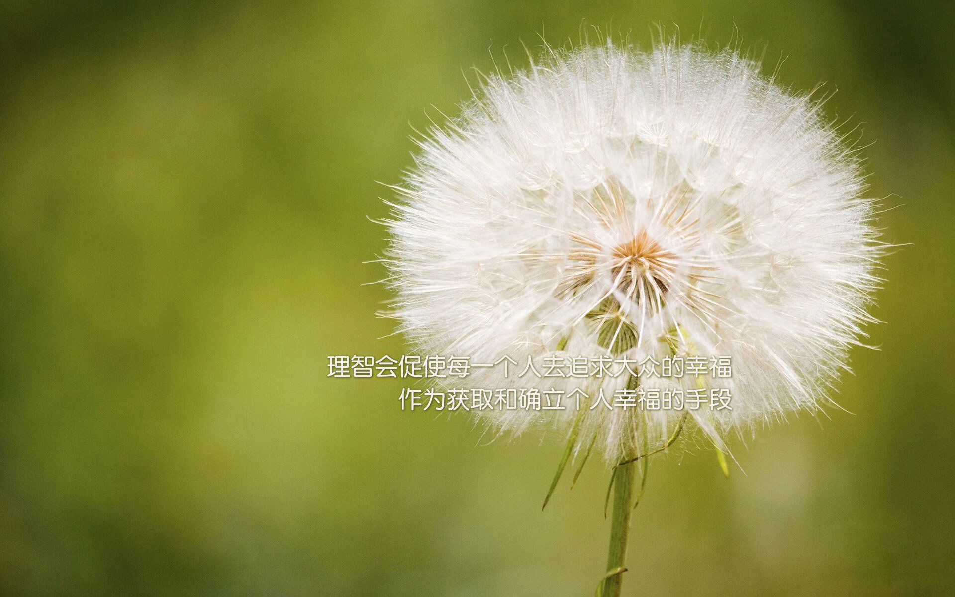 墨西哥队与美国队激战平局，美国和墨西哥比赛