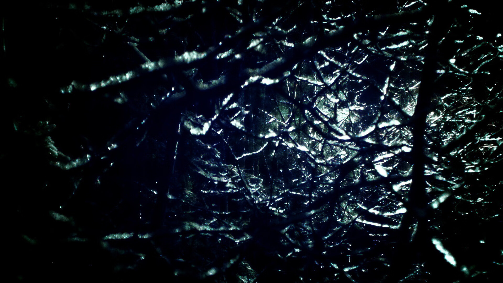 尼日利亚国家队阵容调整，尼日利亚队球星