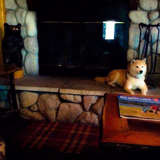 华体会登录入口-摩纳哥击败图卢兹，展现出色实力与团队合作，摩纳哥 图雷