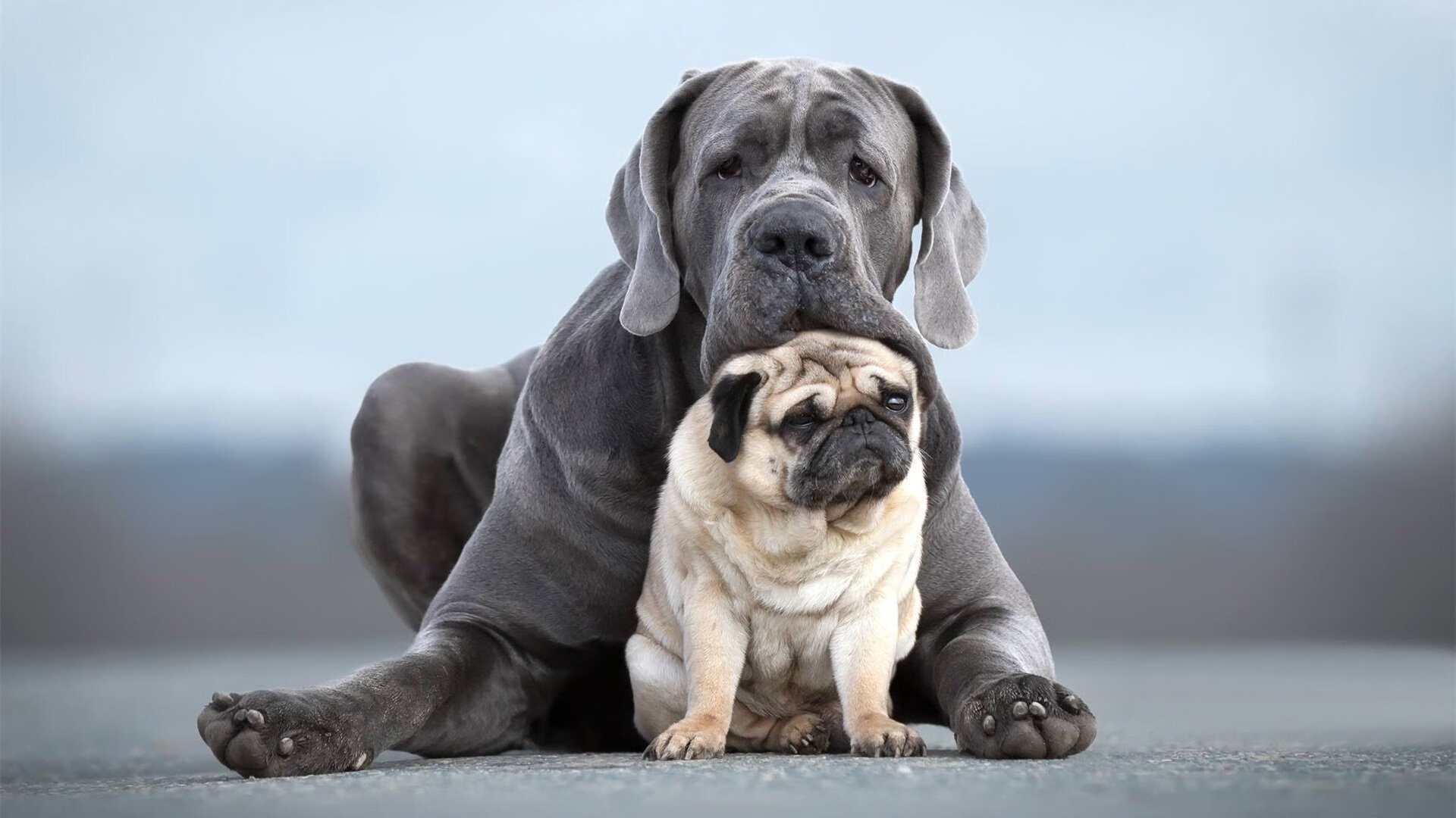 华体会hth官方网站下载-水晶宫客场战平，表现稳定，球队展现实力，水晶宫干嘛的