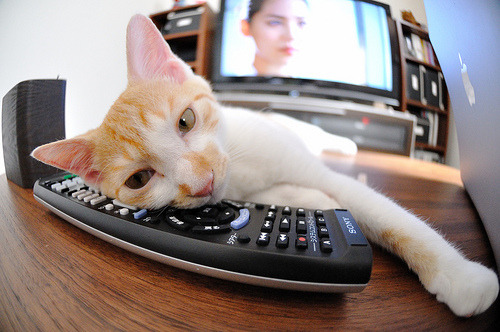 新闻中心签署重要合作协议,新闻中心签署重要合作协议怎么写