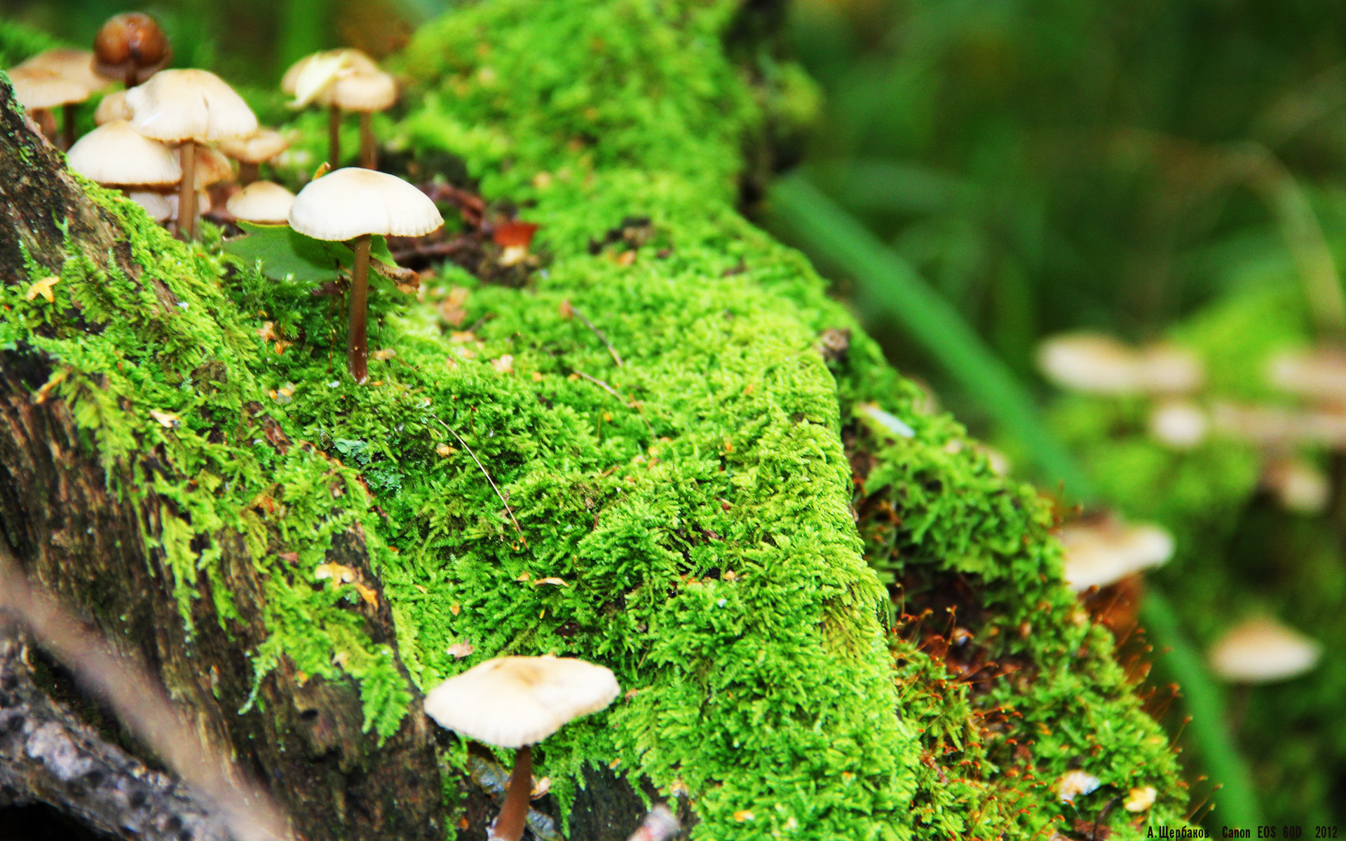 中国女篮心理训练成果显著,女篮心理教练赛前讲话