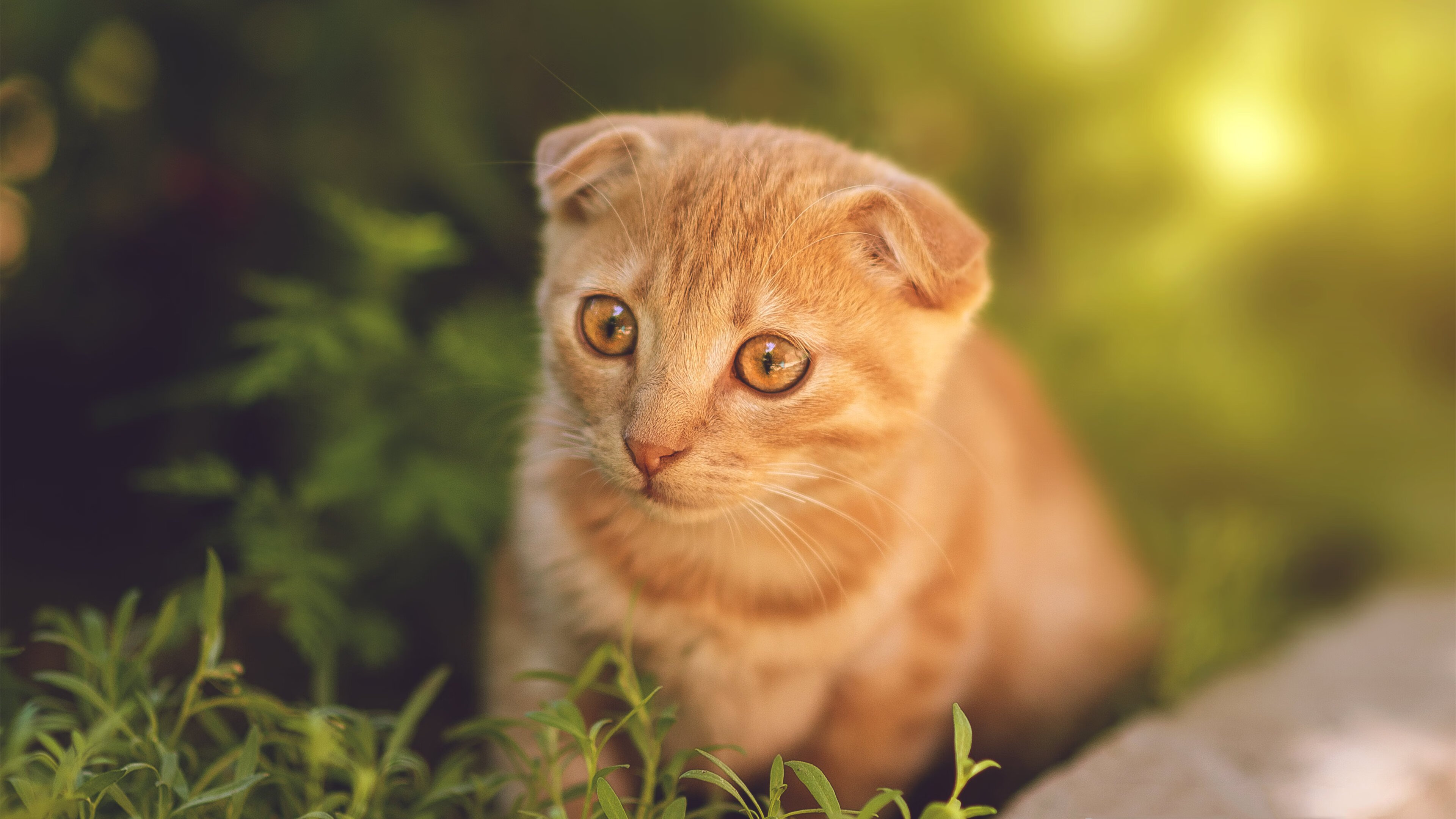 球员数据表现成为媒体与球迷关注焦点,球员分析