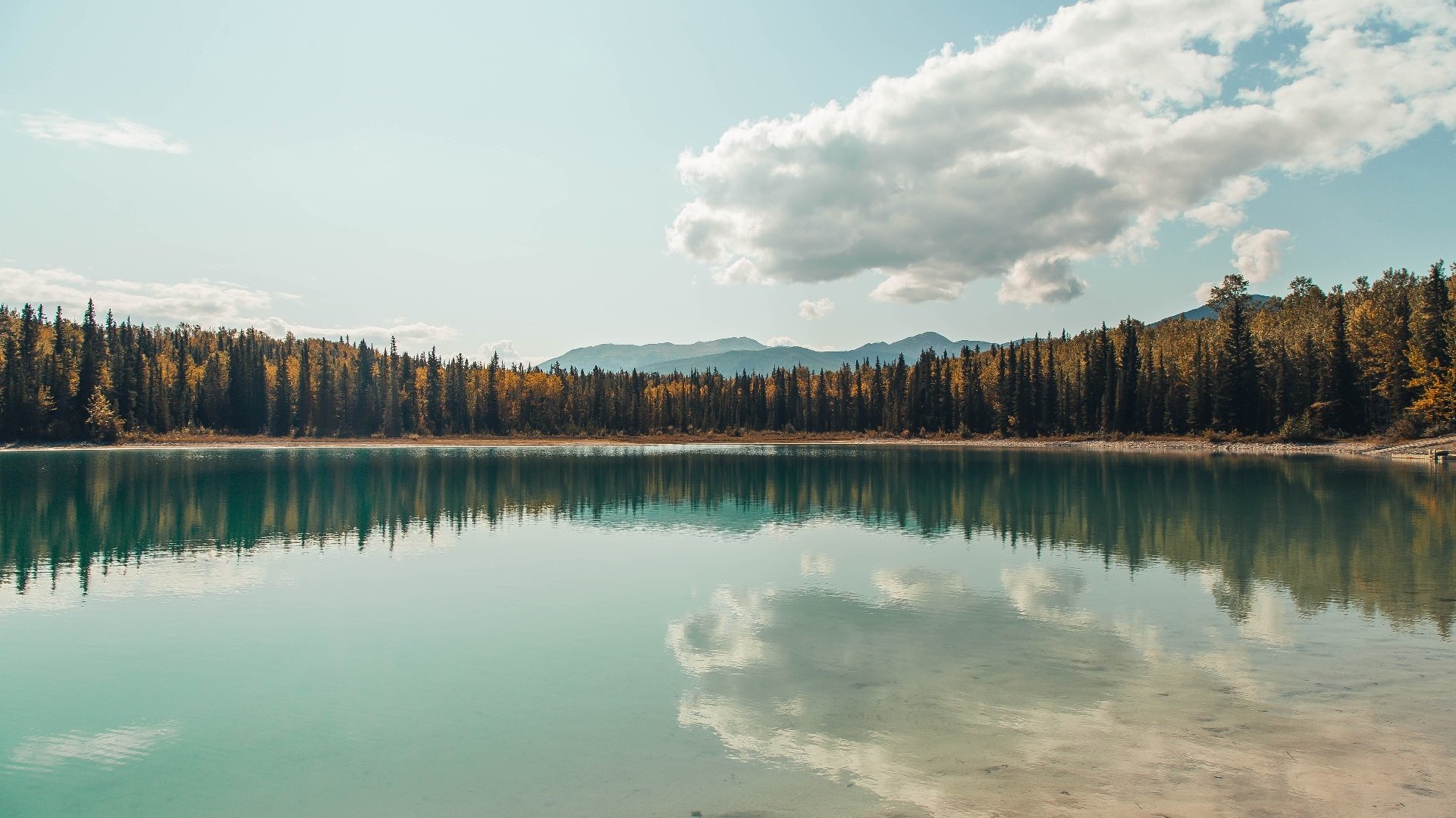 瑞典队战术灵活,2024年混合团体世界杯表现卓越,瑞典队世预赛