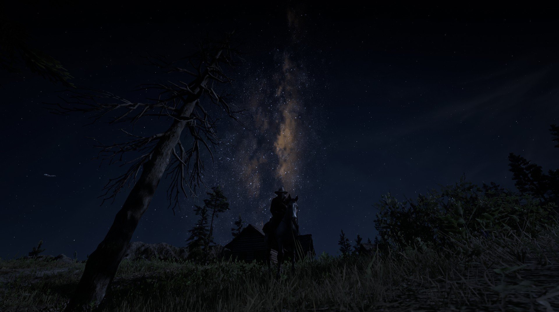 “华金·托比利亚的全能防守与强大领导力,成为美洲狮队的战术支柱”