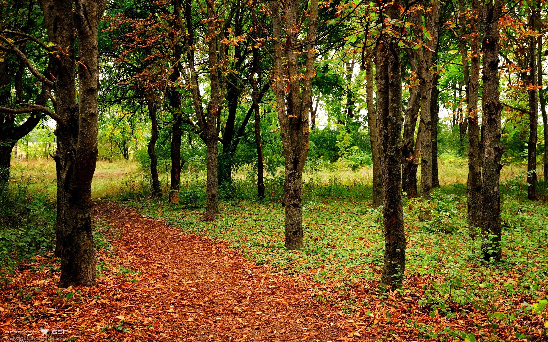 欧洲杯比赛中的关键战术分析,欧洲杯比赛技术统计