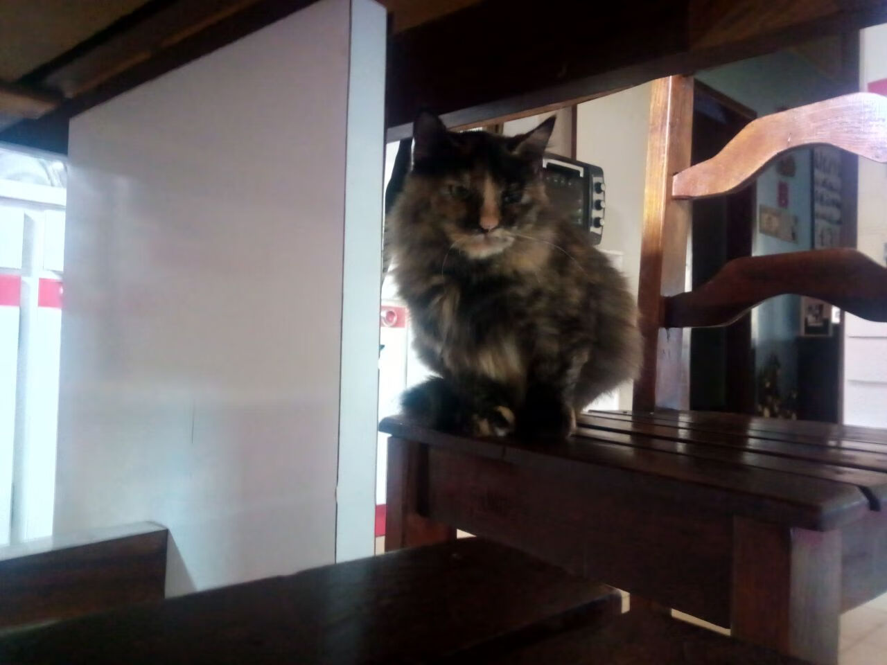 华体会hthapp下载入口-法甲少年崛起：新秀闪耀未来！