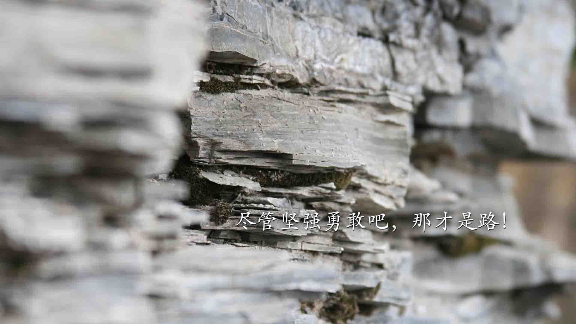 美洲杯历史上的十大经典战役,美洲杯历史三四名决赛