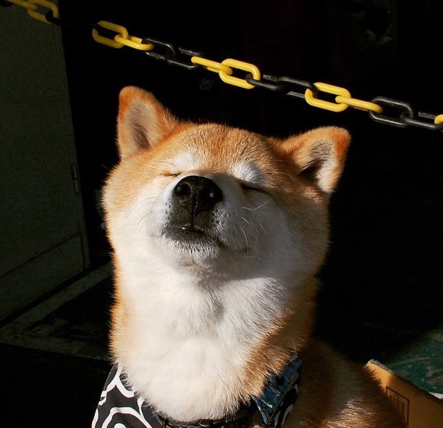 华体会平台娱乐-黎巴嫩男篮在西亚锦标赛中势如破竹，球队实力不断提升，黎巴嫩篮球比赛