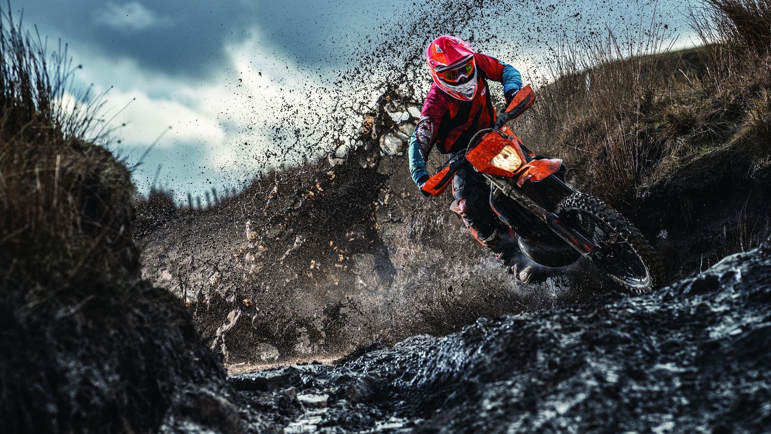 华体会网页版-WRC新技术亮相：智能辅助带来新体验，wrc软件